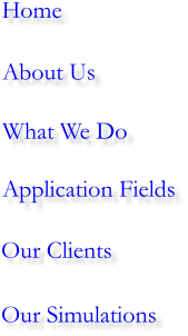 Home Application Fields What We Do About Us Our Clients Our Simulations